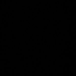 Meet your Posher, Shawnbria